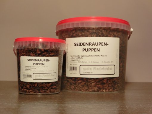 Seidenraupen - Puppen getrocknet