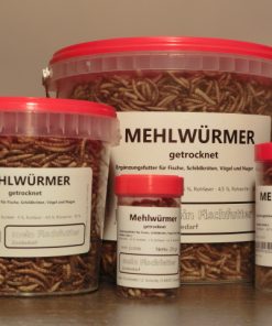 Mehlwürmer getrocknet